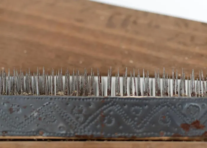 Da Fabrica ホテル マンテイガス